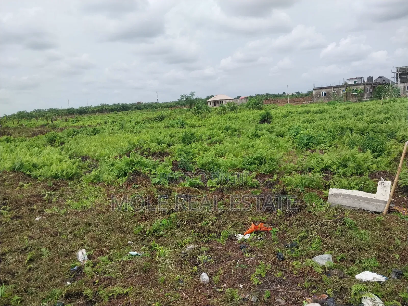 Plots of Land Ikola New Road by Ogun Bridge