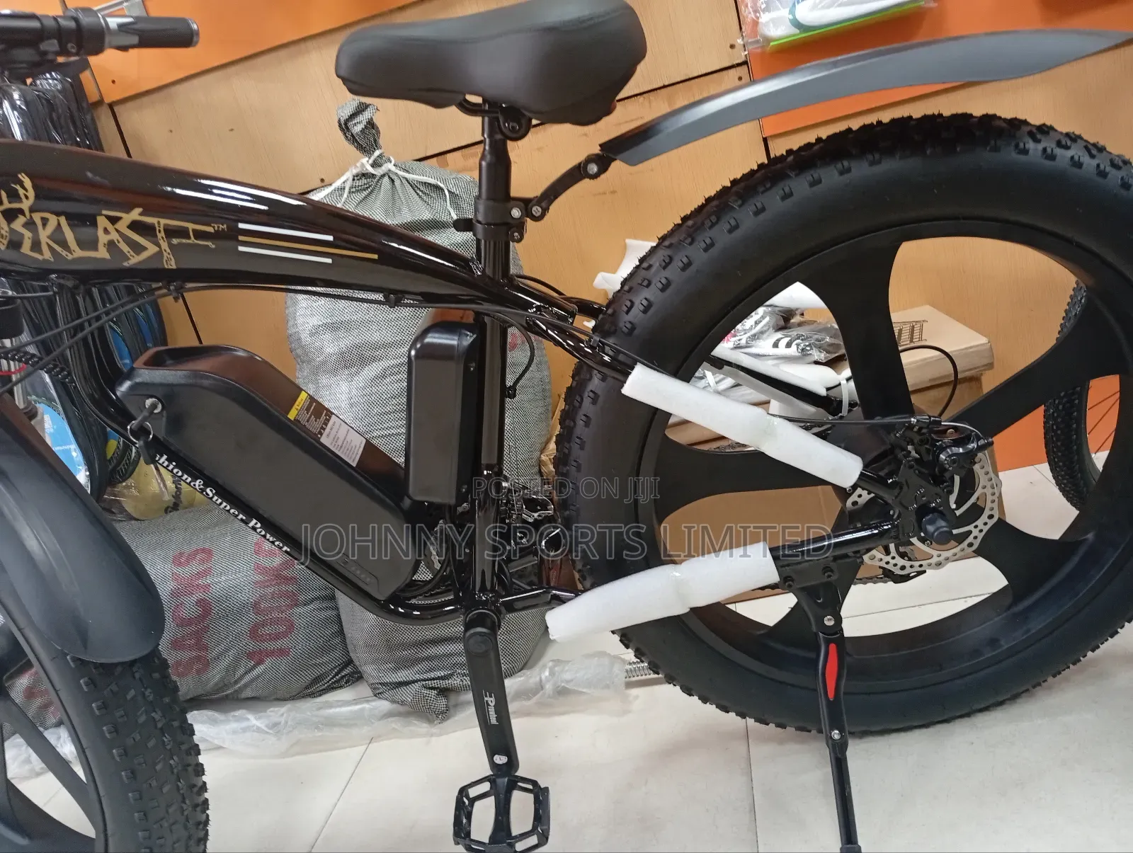 Big Tyre Electric Bike