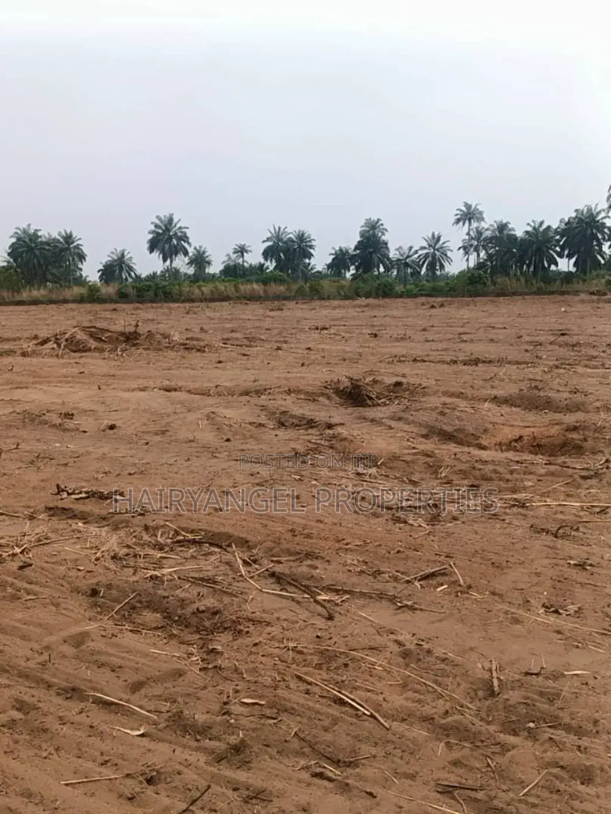 C Of O Land For Sale In Aba