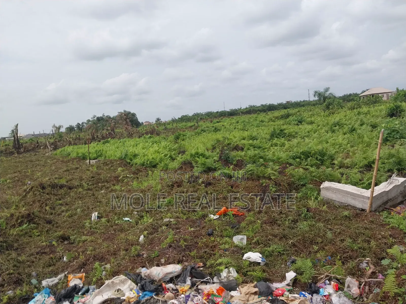 Half Plot 30ft/120ft Ijegun -Ijegemo New Expressway