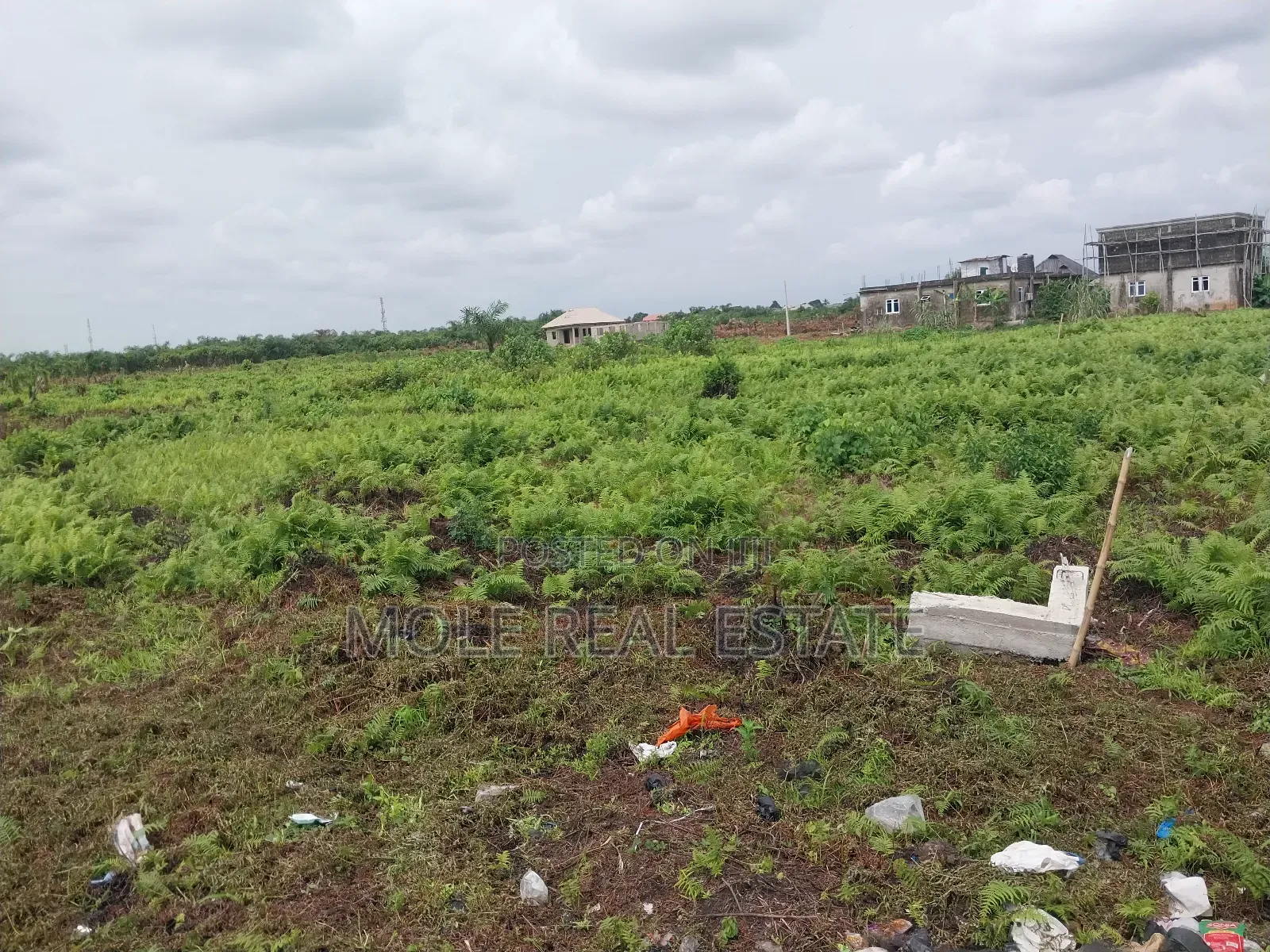 Half Plot of Land Close to the Ijegun Festac Expressway