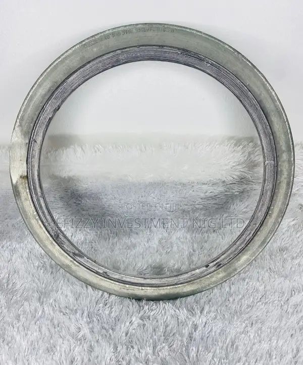 Spiral Wound Gasket, Inner Ring 10" (Sku: Efy011)