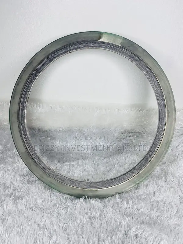 Spiral Wound Gasket, Inner Ring 10" (Sku: Efy011)