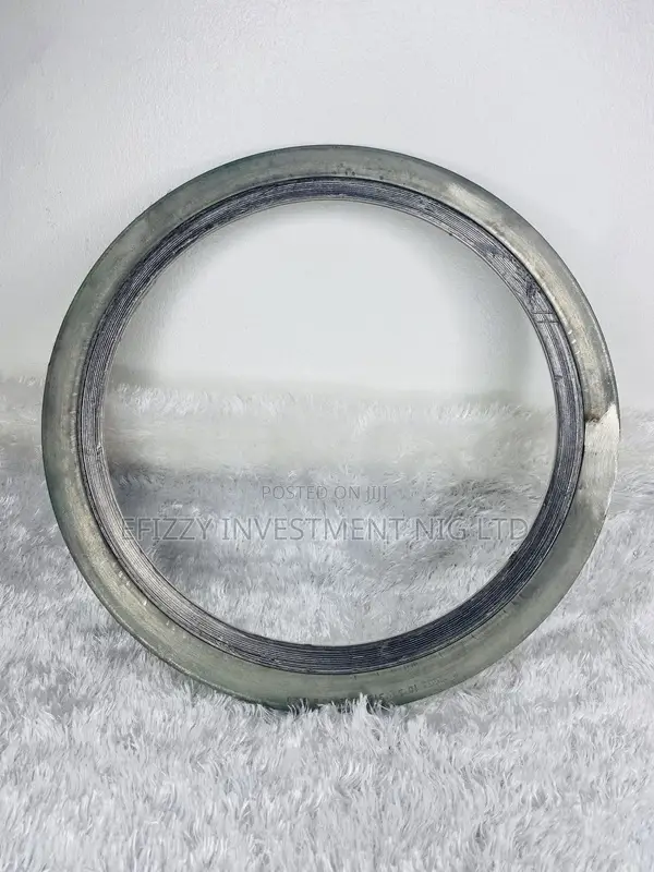 Spiral Wound Gasket, Inner Ring 10" (Sku: Efy011)