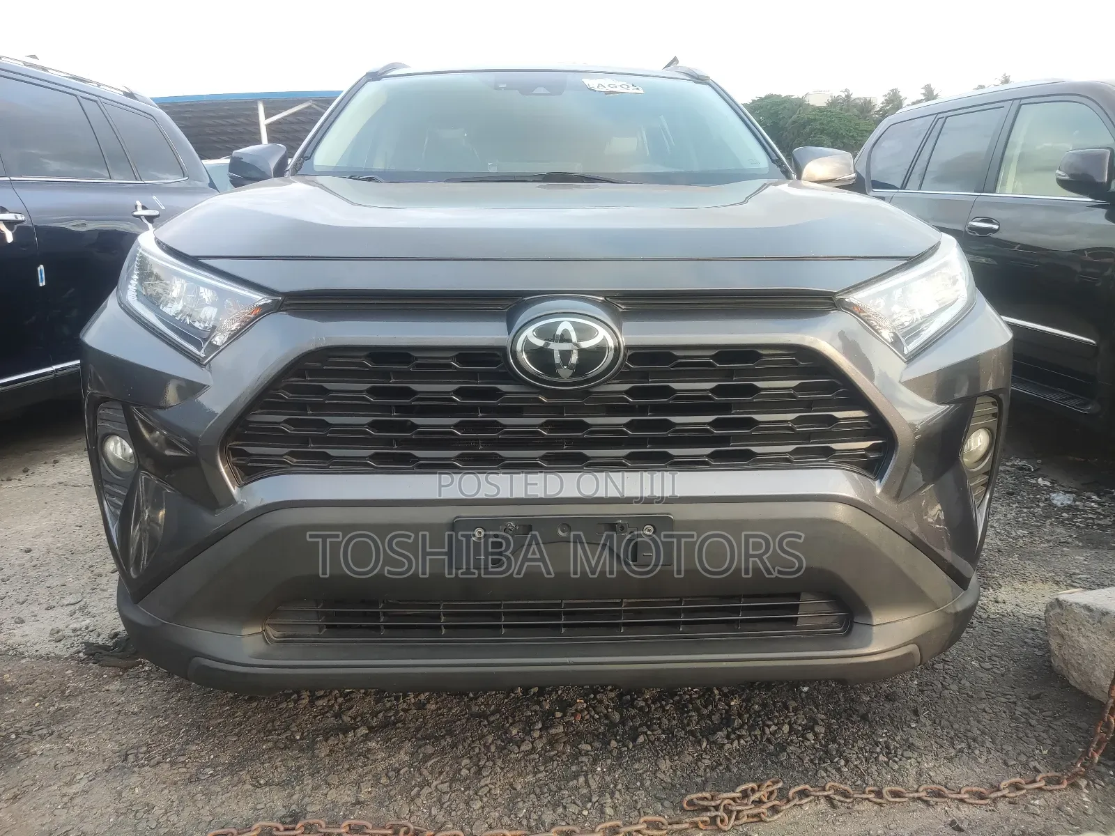 Toyota RAV4 XLE AWD 2020 Gray