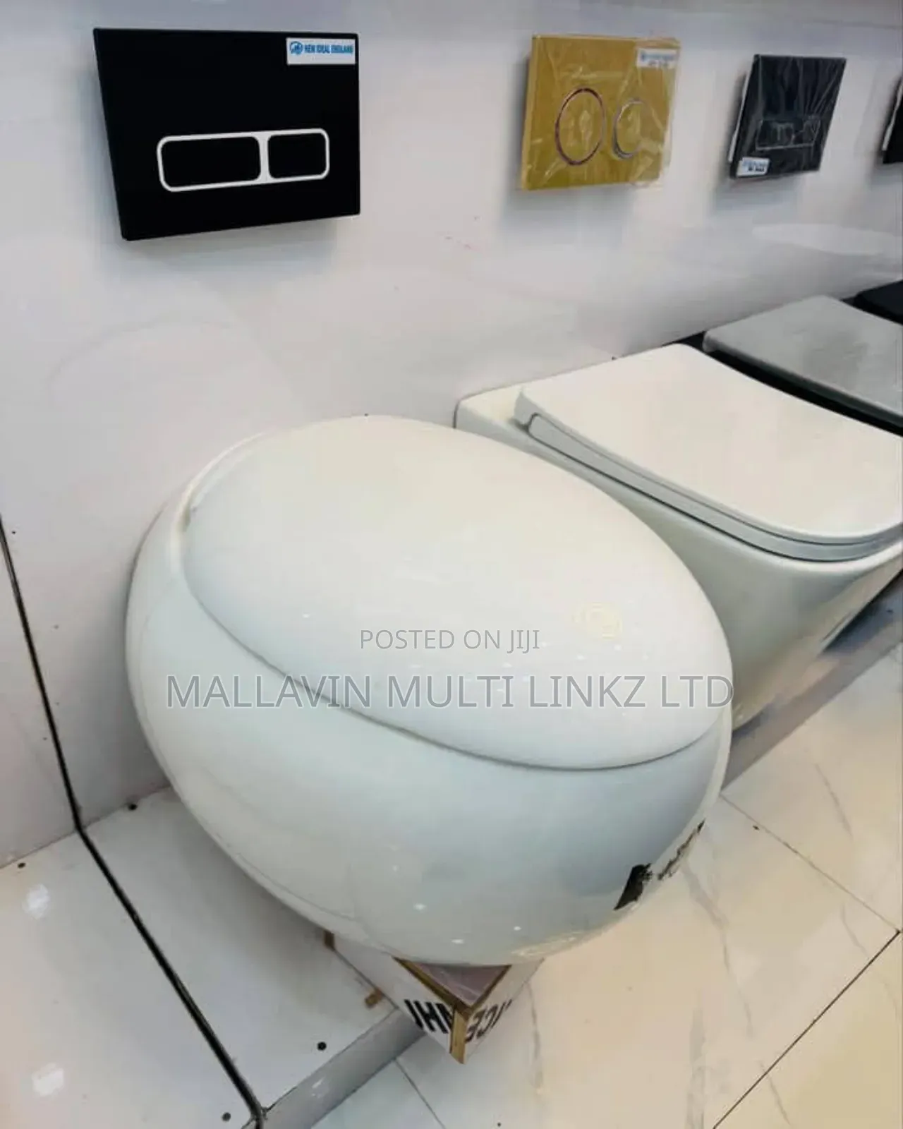 Egg Shape Wall Hung Wc With Conceal Tank