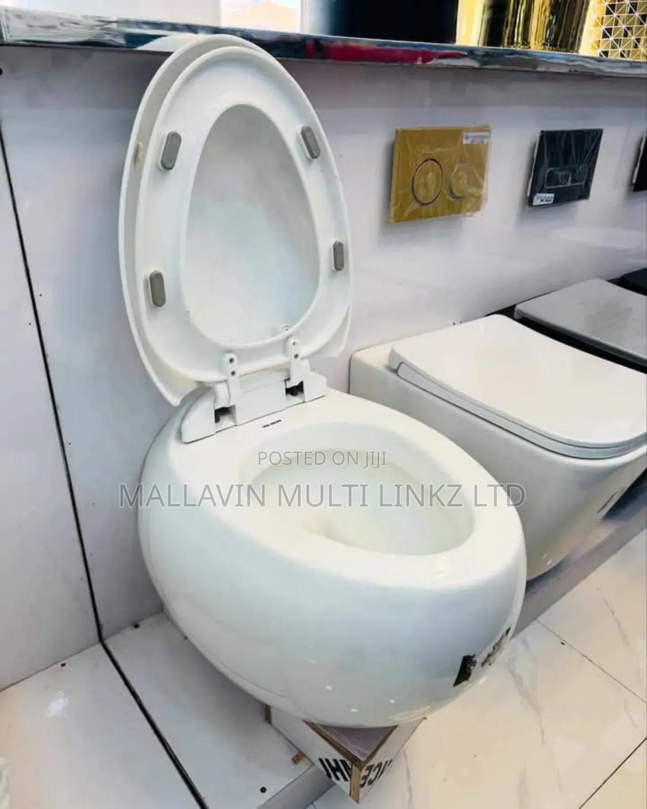 Egg Shape Wall Hung Wc With Conceal Tank