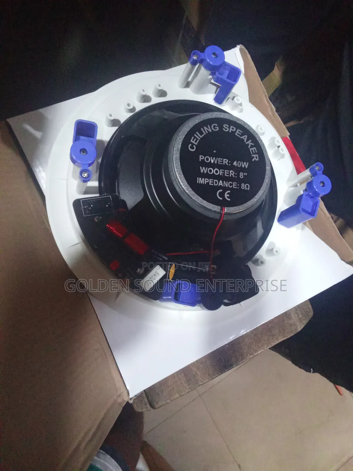 Professional Dart Celling Speaker 40 Watts