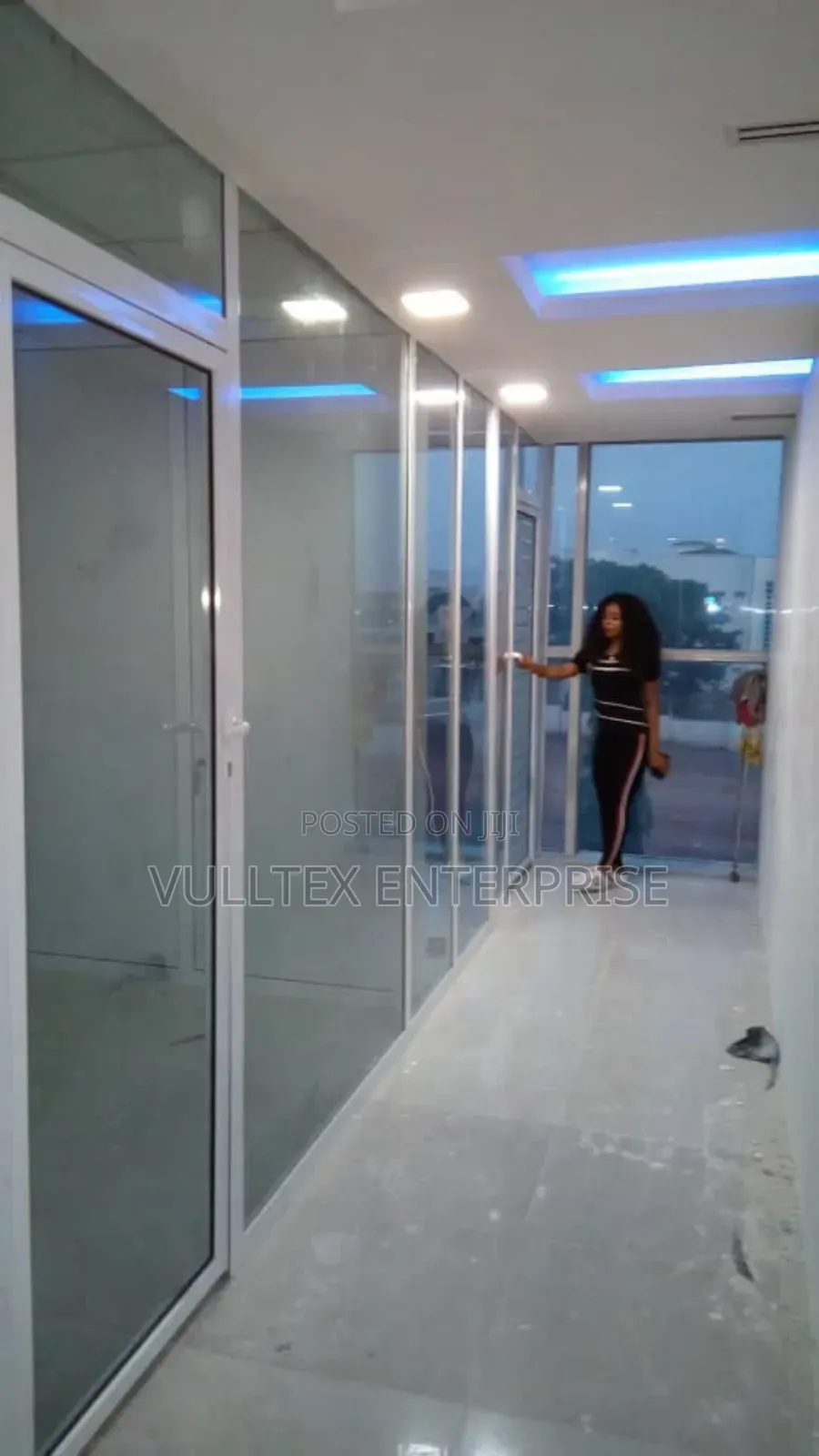 Glass Partition Door