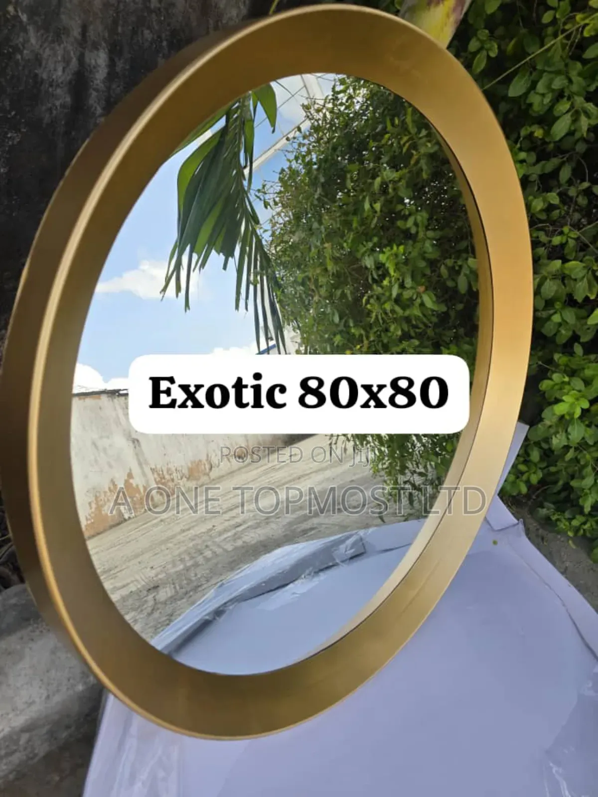 Exotic Mirror
