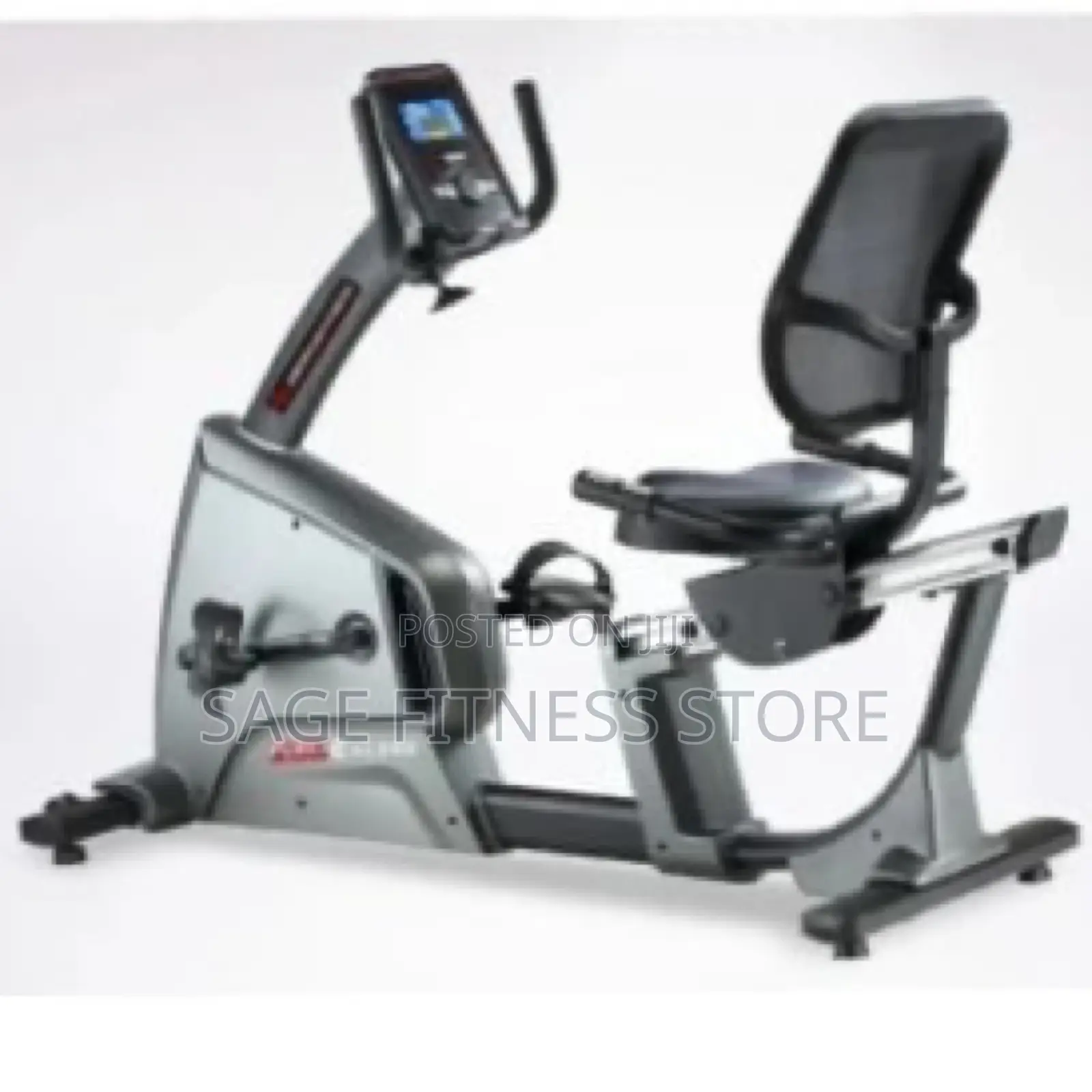 Large American Fitness Recumbent Bike