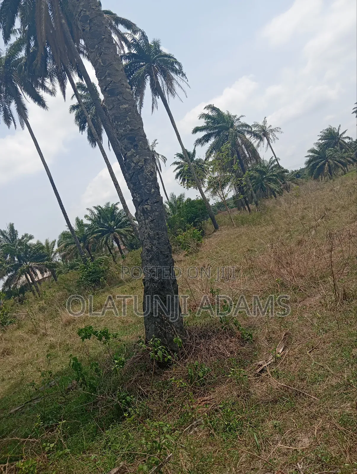 10acres of Land at Papanla Area After Alatorin