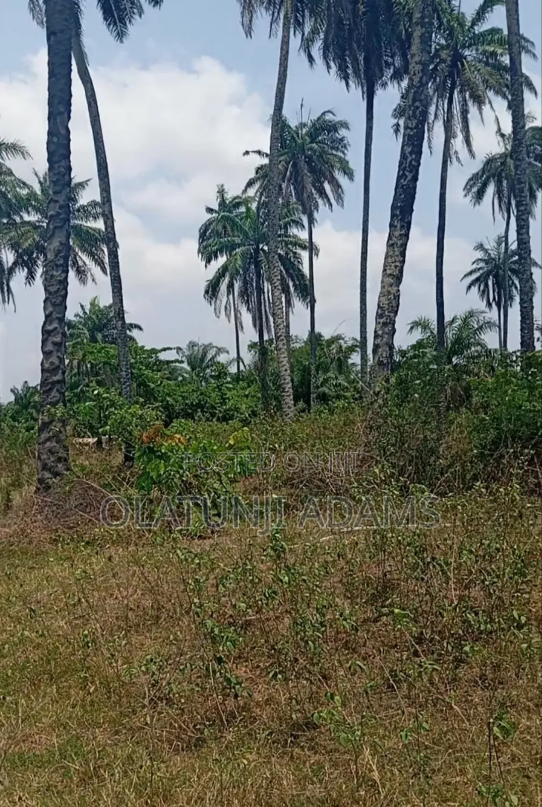 10acres of Land at Papanla Area After Alatorin