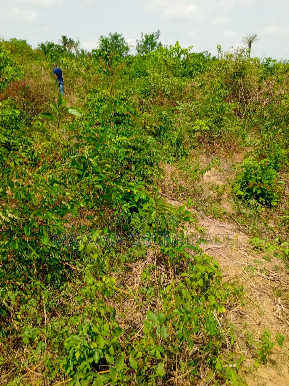 Full Plot of Land Oloro Ido With Registered Survey