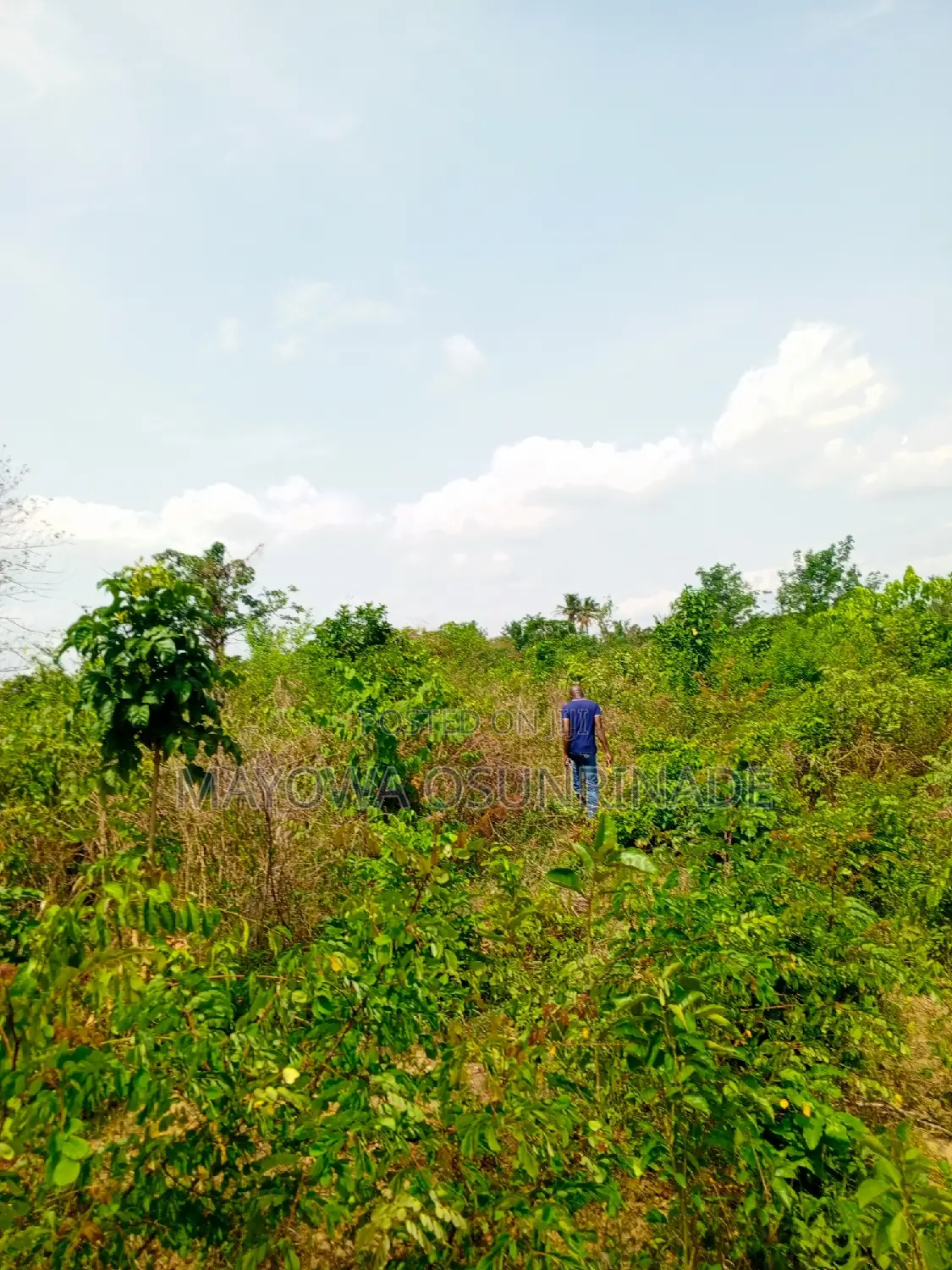 Full Plot of Land Oloro Ido With Registered Survey