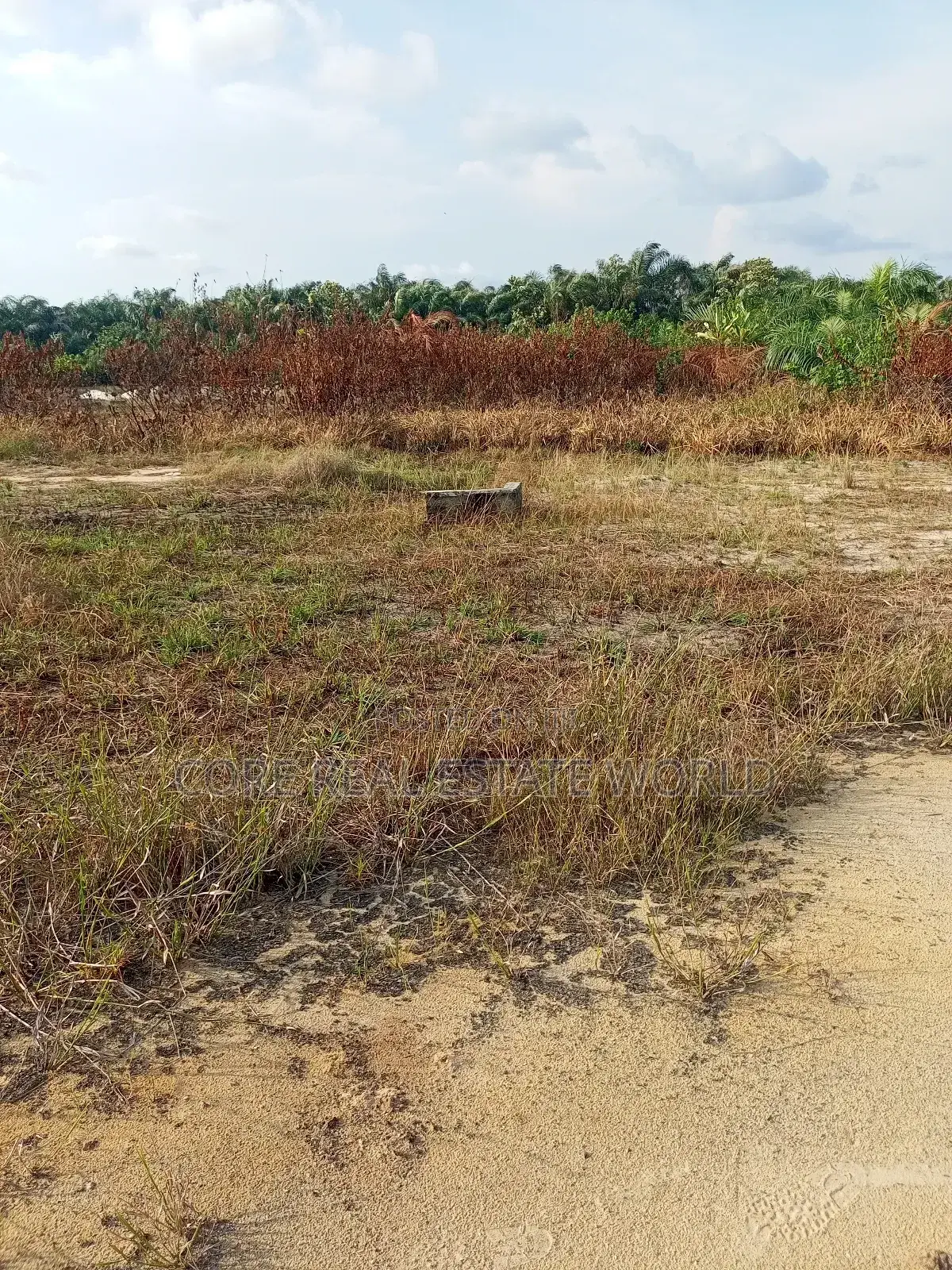 Buy and Build Land at Lodu Ibeku Umuahia
