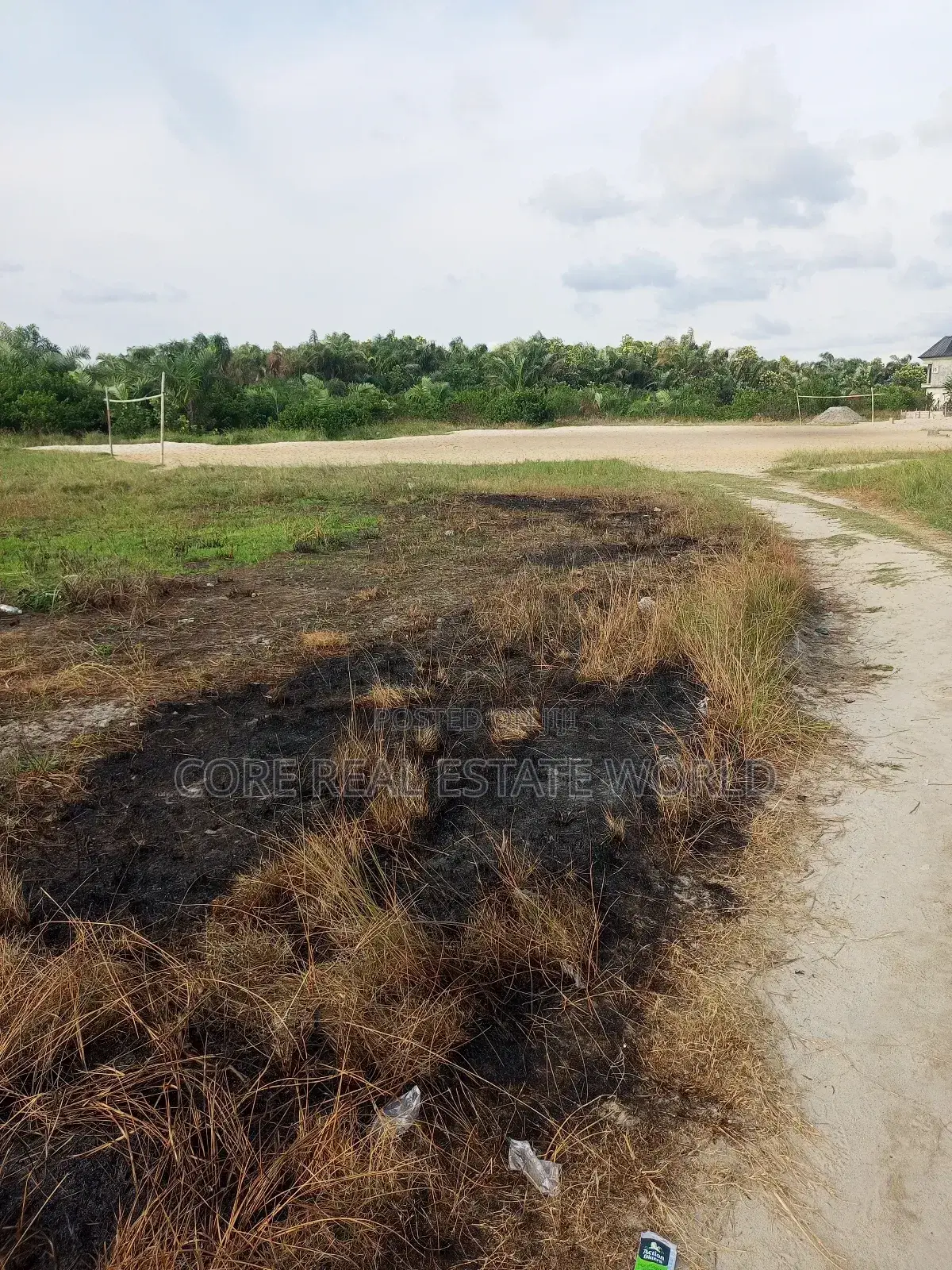 Affordable Land, Palm Grove, Otuoke Rd Bayelsa