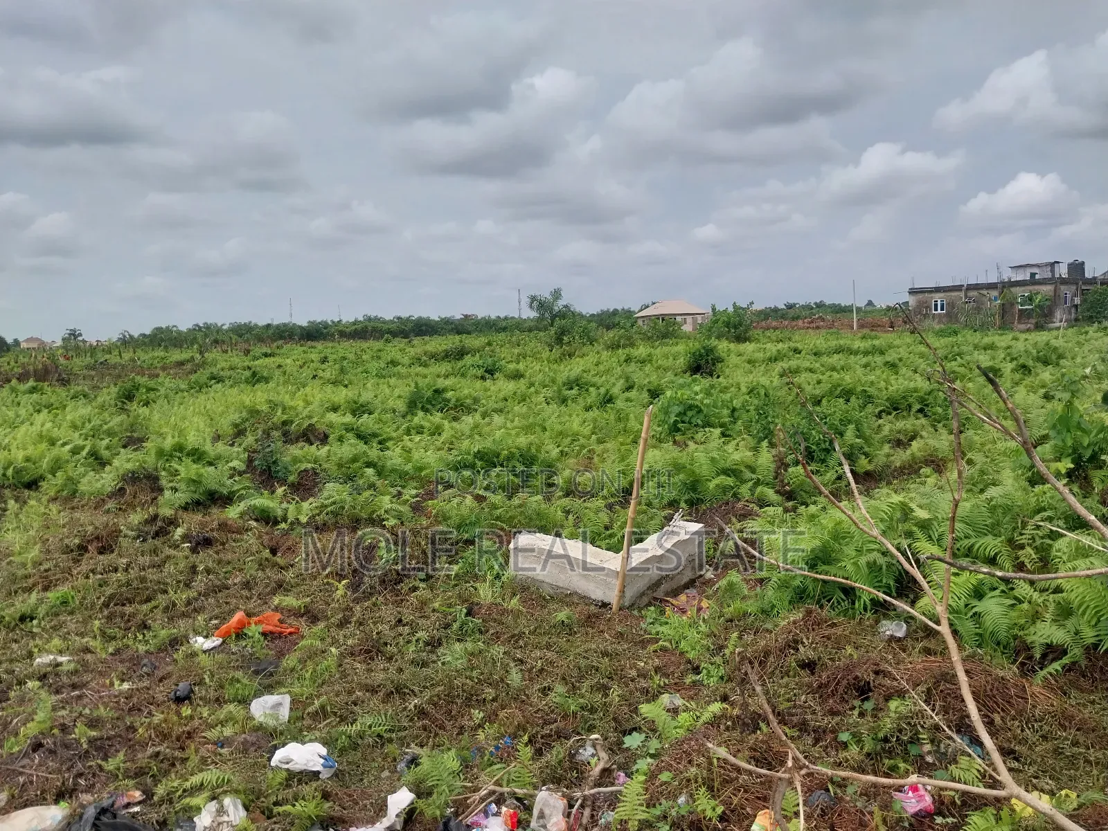22 Plots (1.7 Hecter ) Great Roi Agege Center 4 Sale