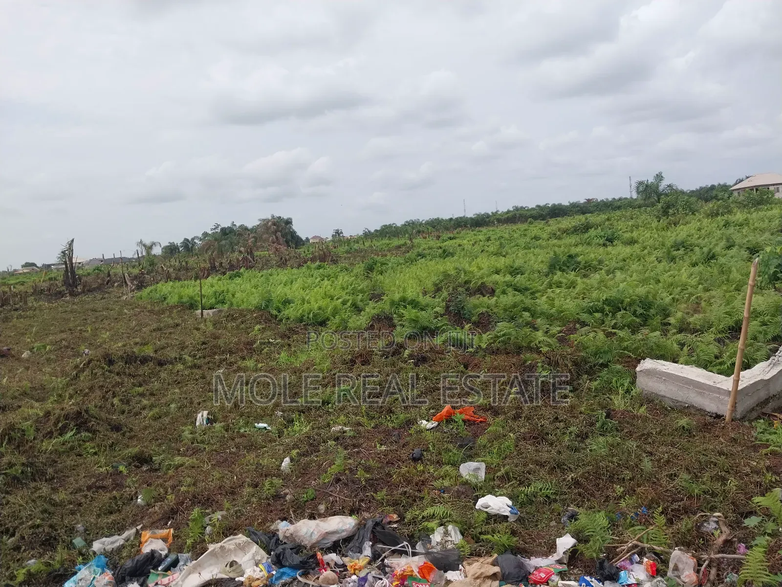 22 Plots (1.7 Hecter ) Great Roi Agege Center 4 Sale