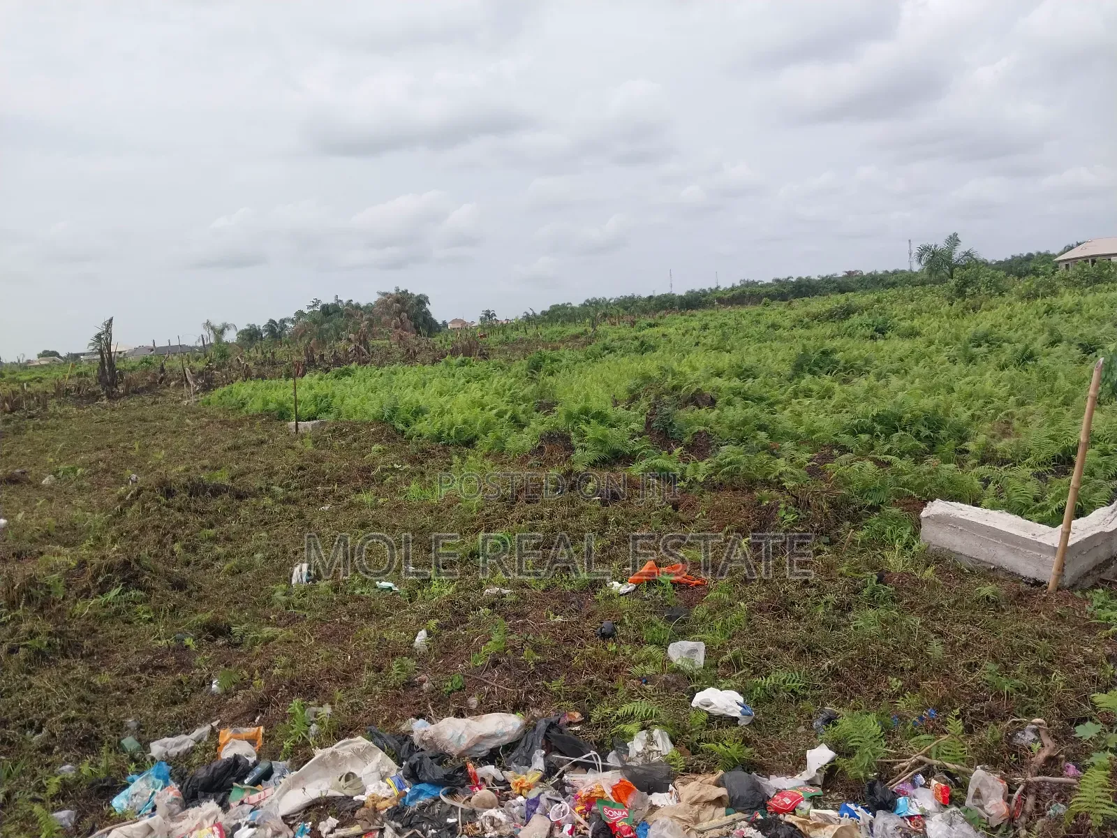 22 Plots (1.7 Hecter ) Great Roi Agege Center 4 Sale