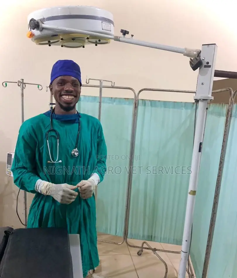 Veterinary Doctor