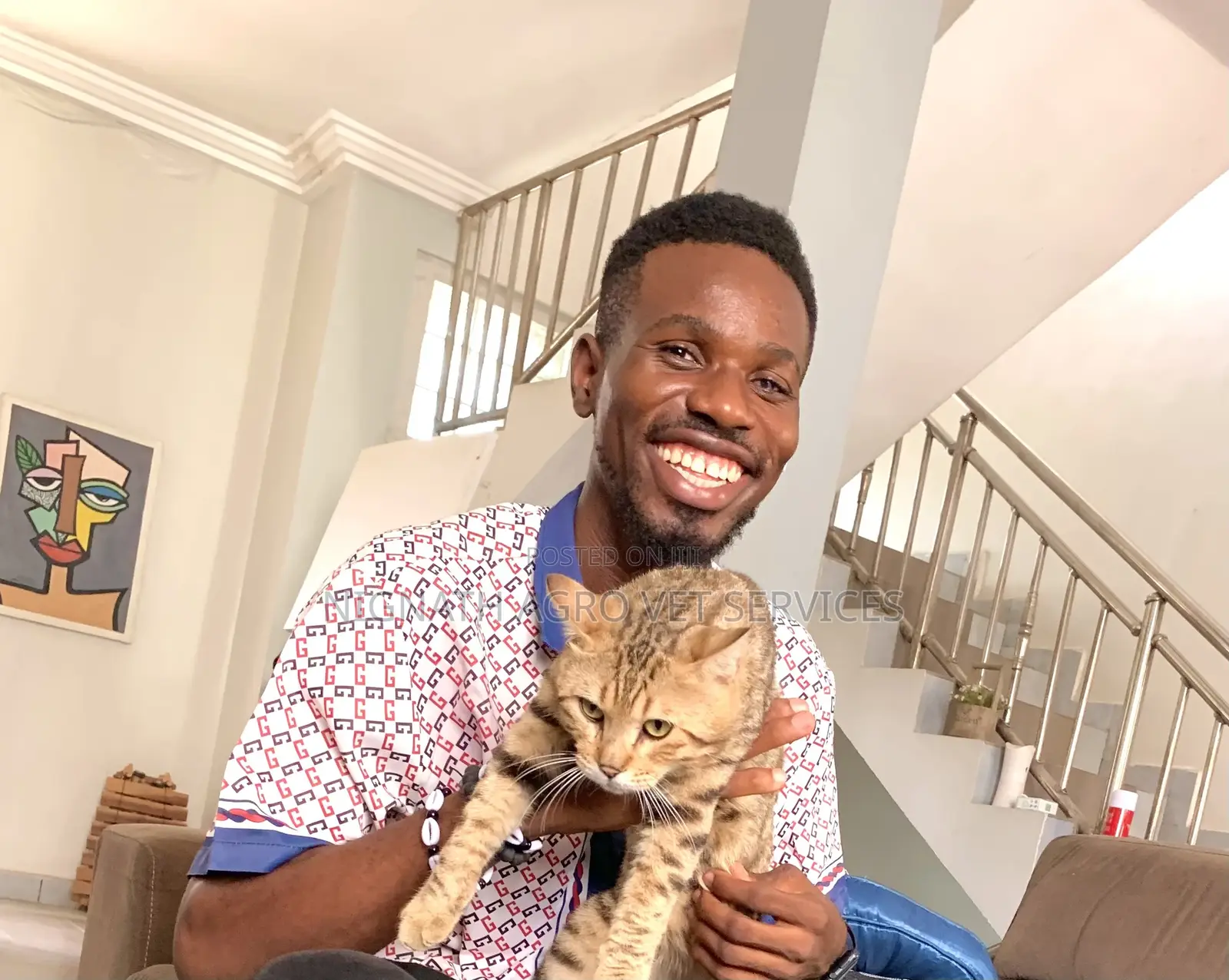 Veterinary Doctor
