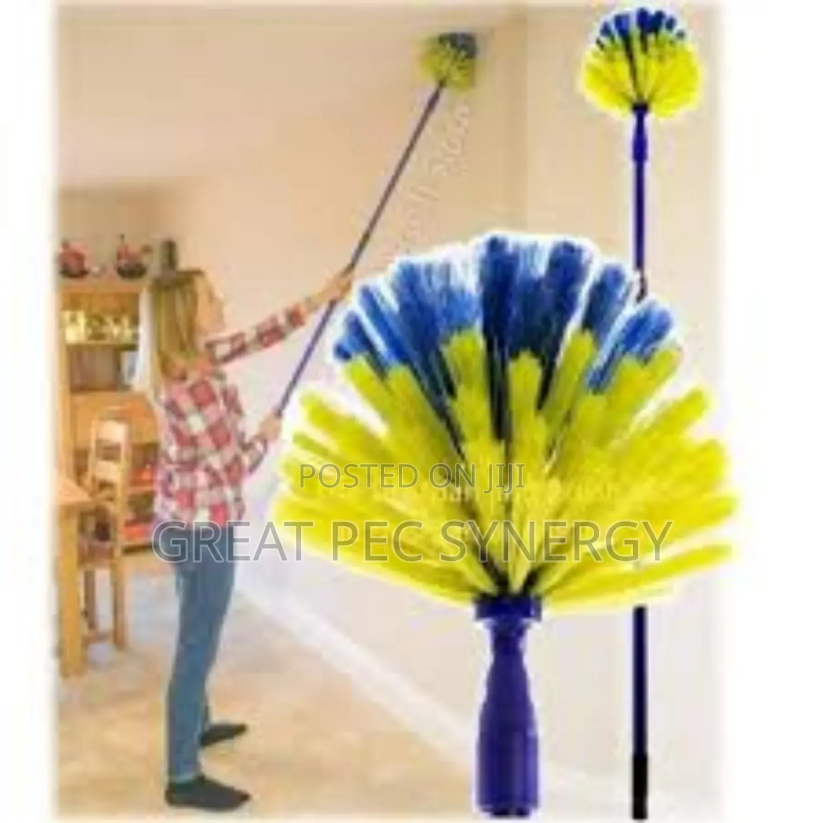 Cobweb Broom