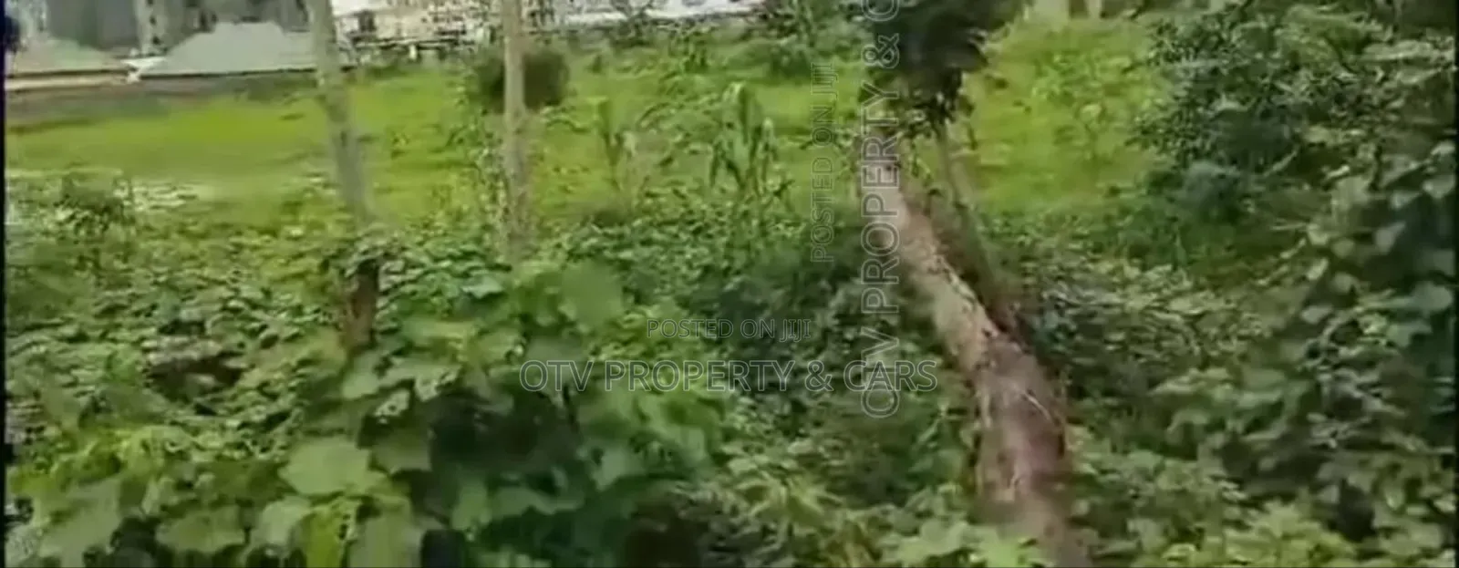 1 Acre Of Land (6 Plots)For Sale At Sabo / Yaba