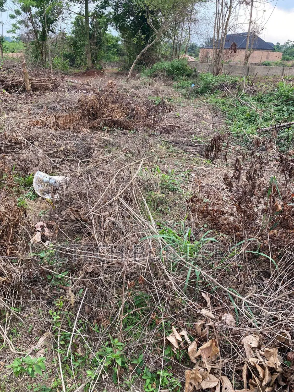 Piece of Land for Sale