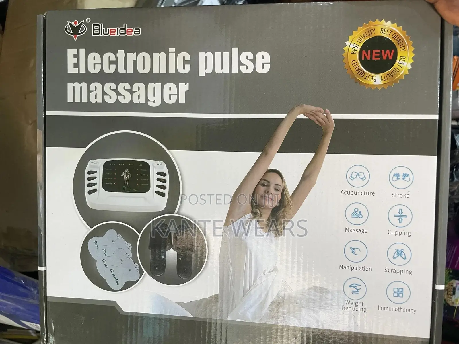 Electronic Pulse Massager