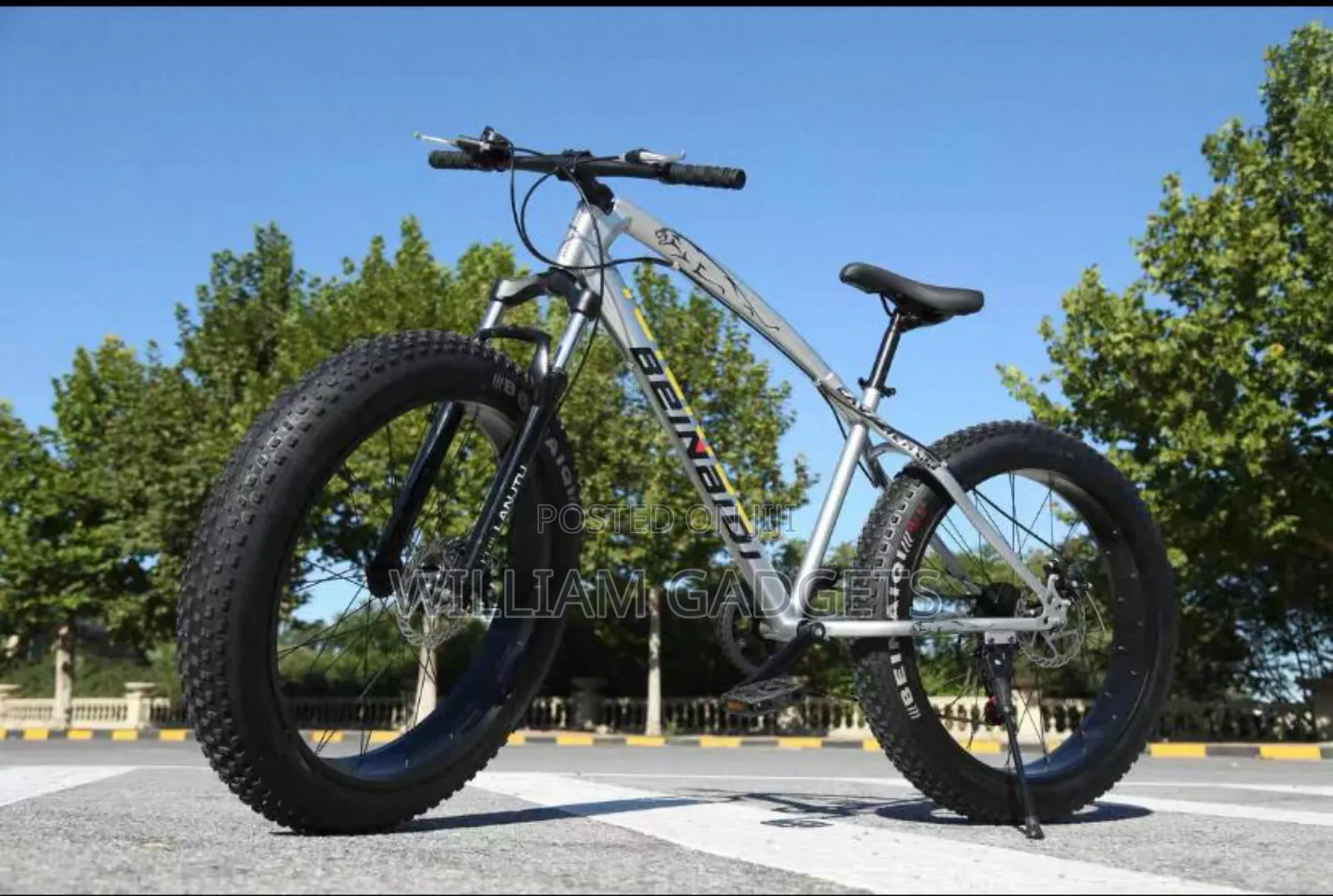 Big Sport Bicycle