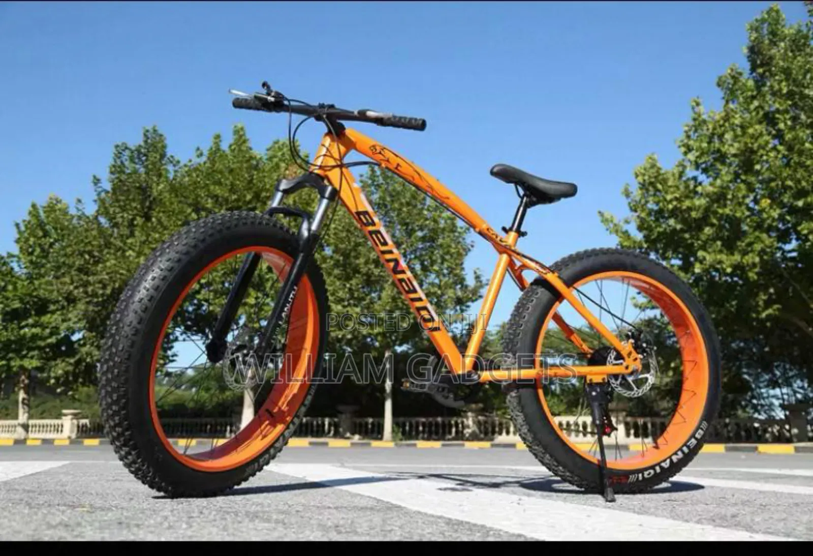 Big Sport Bicycle
