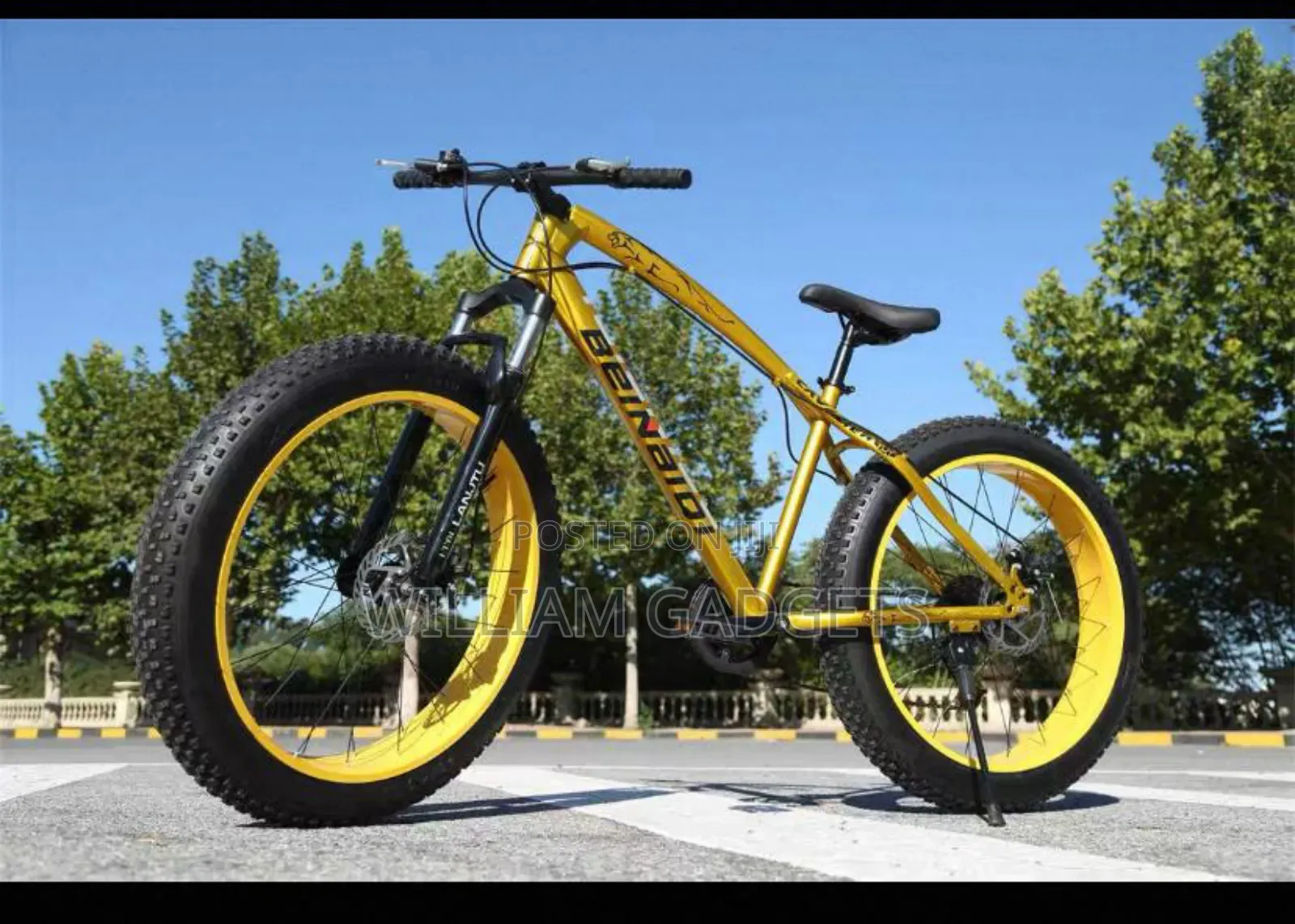 Big Sport Bicycle
