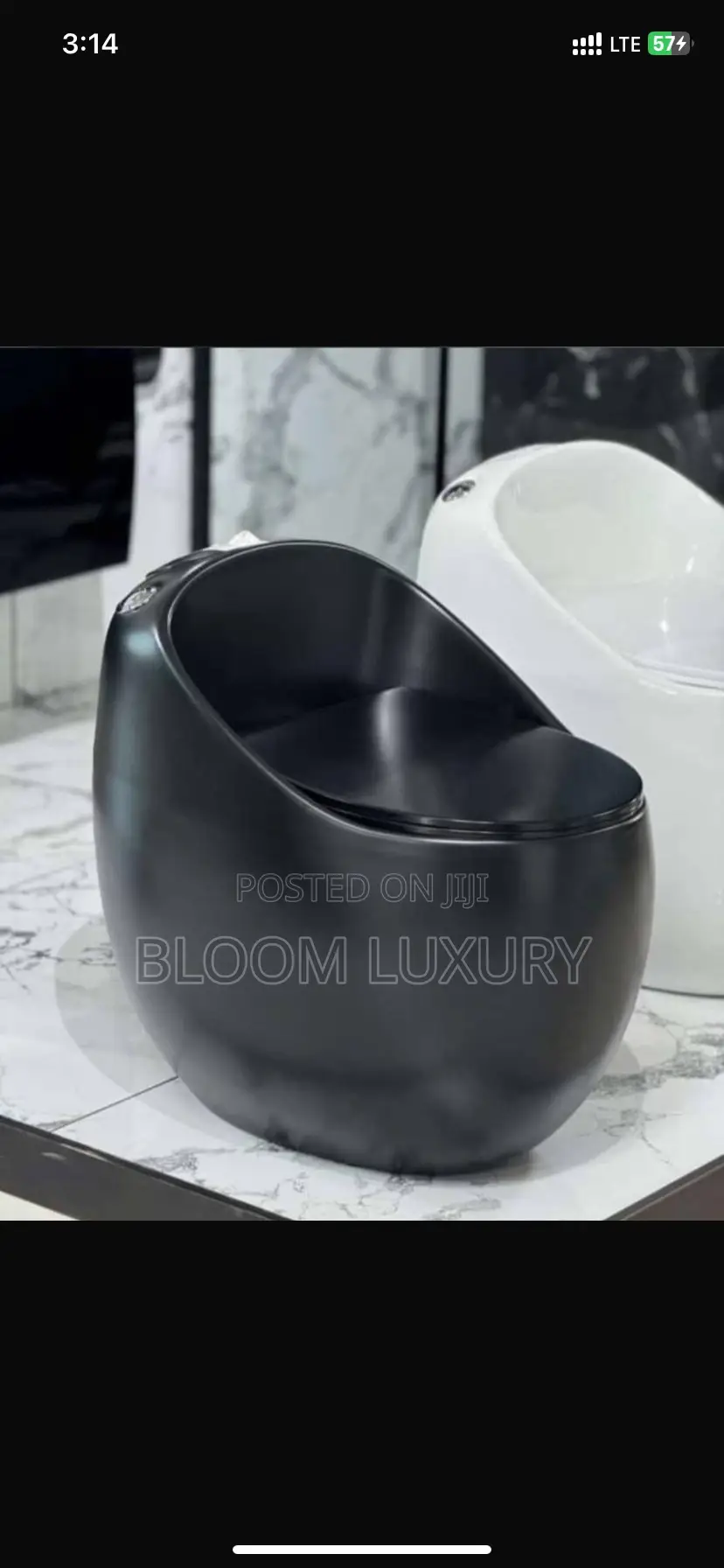 Matte Black Egg Shaped Water Closet