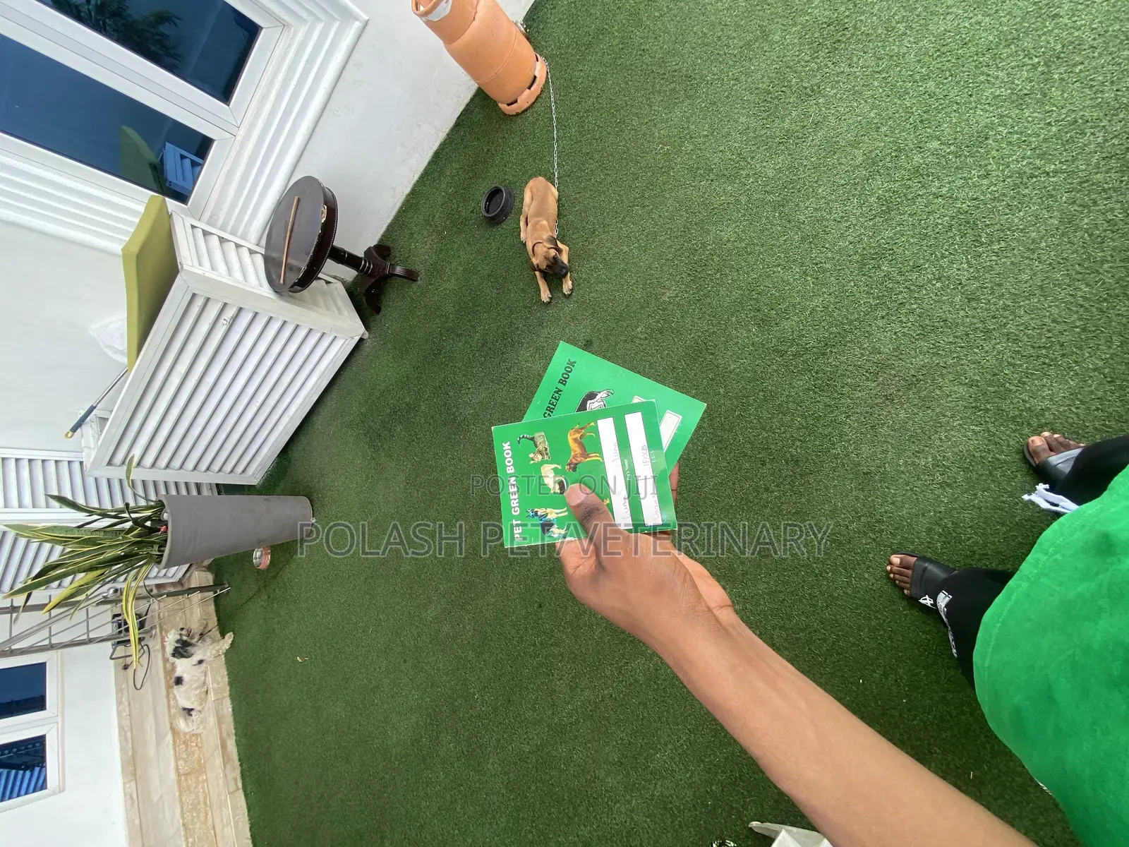 Trusted Care for Your Furry Friends