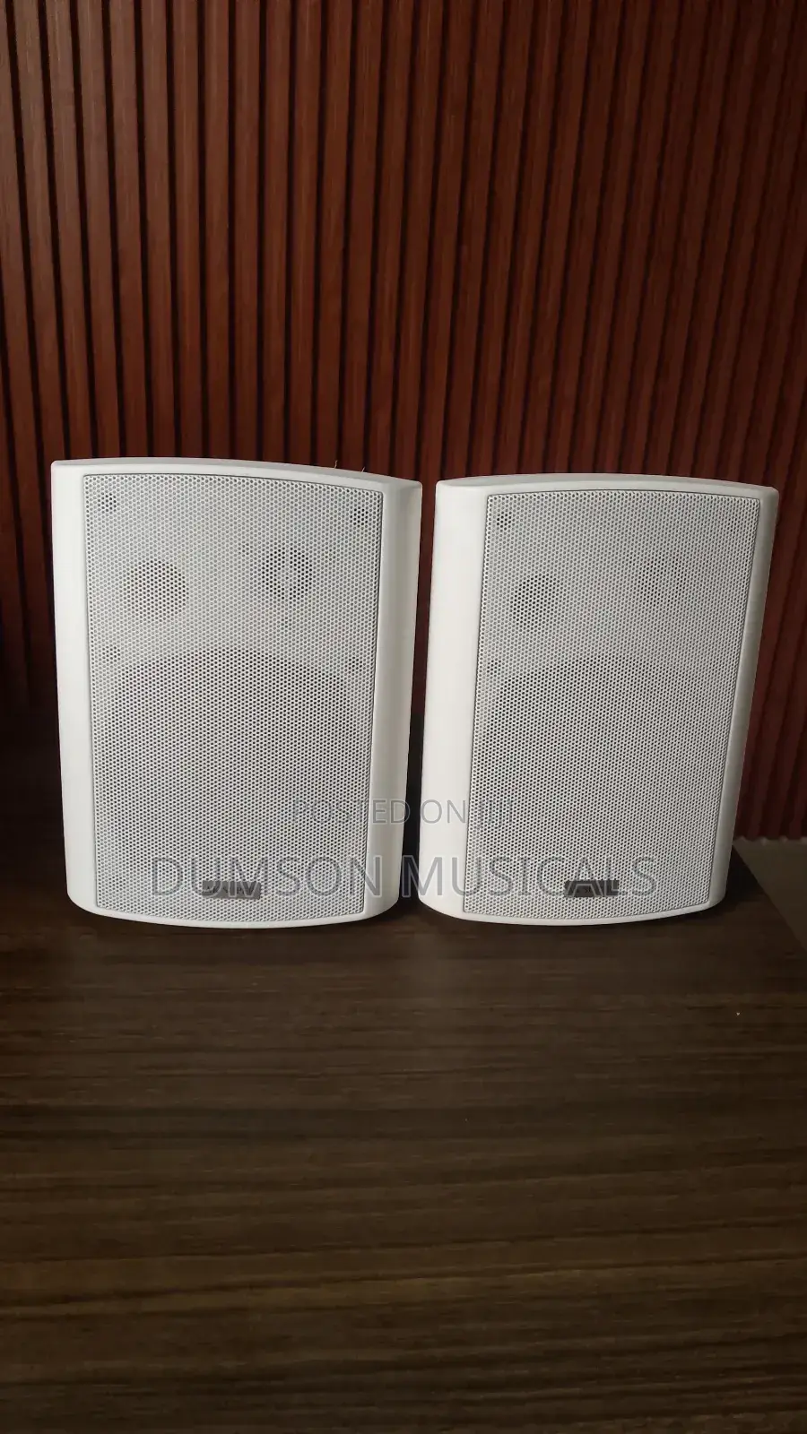 Outdoor Wall Hanging Speaker Ak Super Big Magnet 