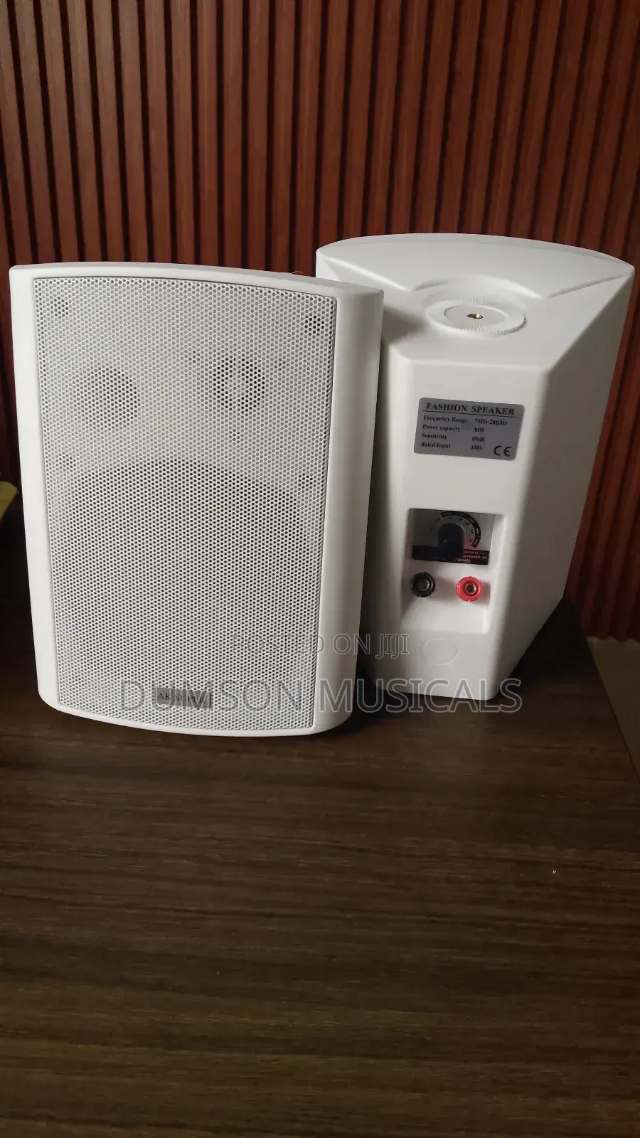 Outdoor Wall Hanging Speaker Ak Super Big Magnet 