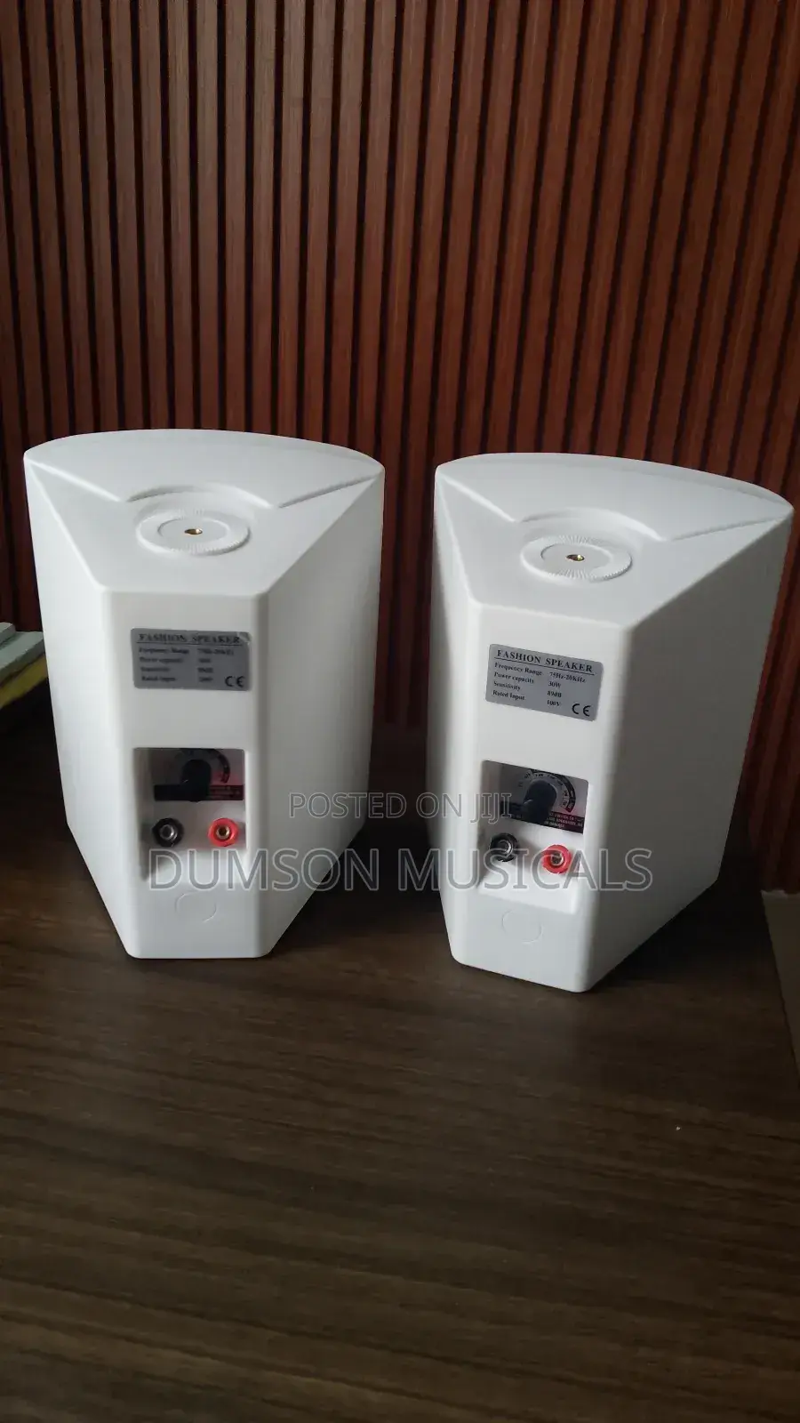 Outdoor Wall Hanging Speaker Ak Super Big Magnet 