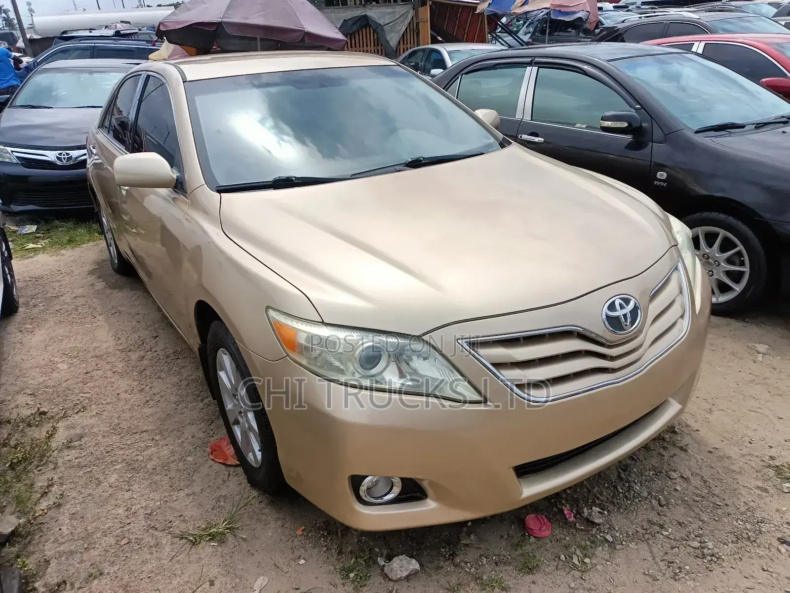 Toyota Camry LE V6 4dr Sedan (3.5L 6cyl 6AM) 2010 Gold