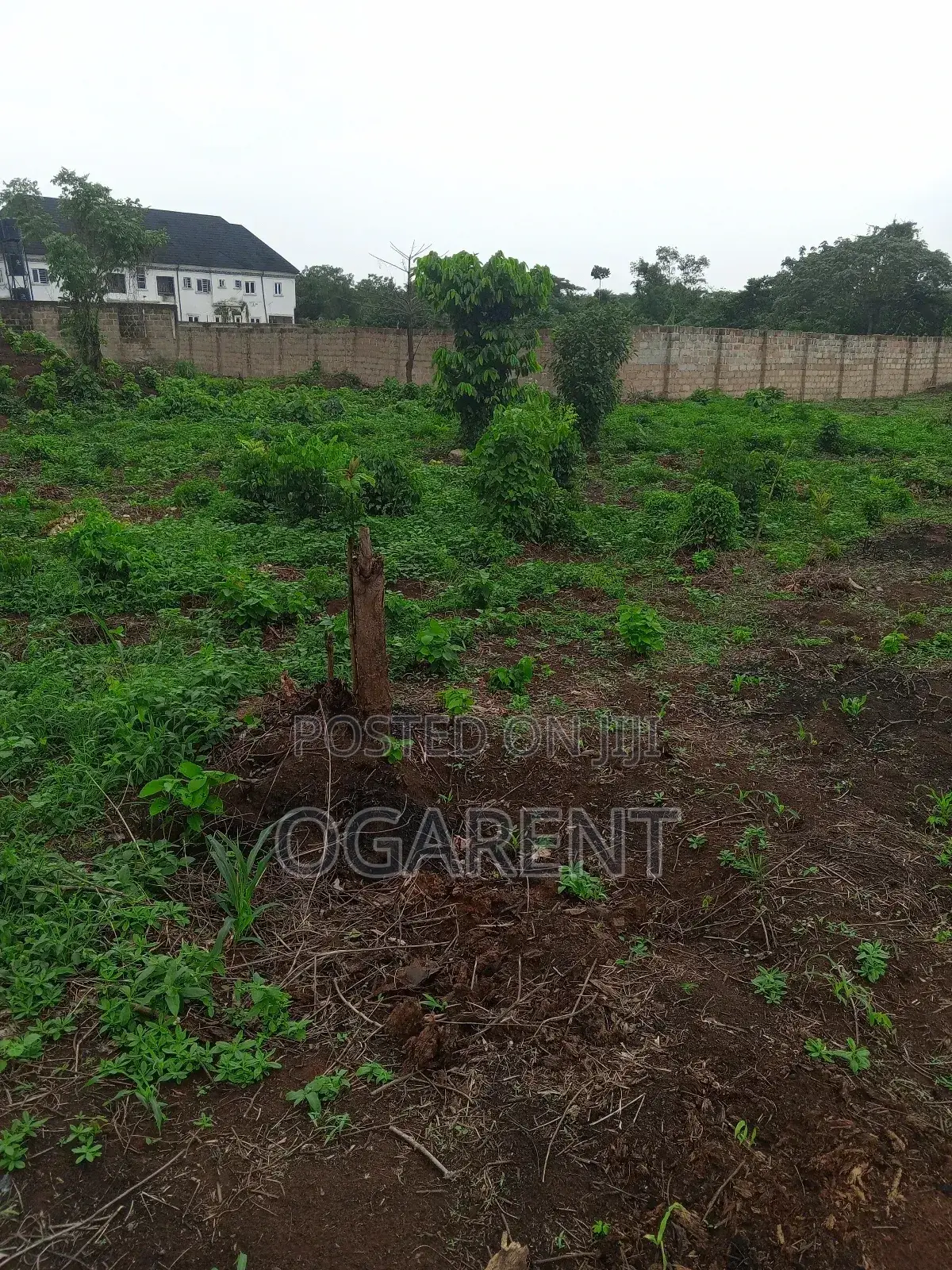 50 by 100 for Sale at Peanut Road/Ewomama