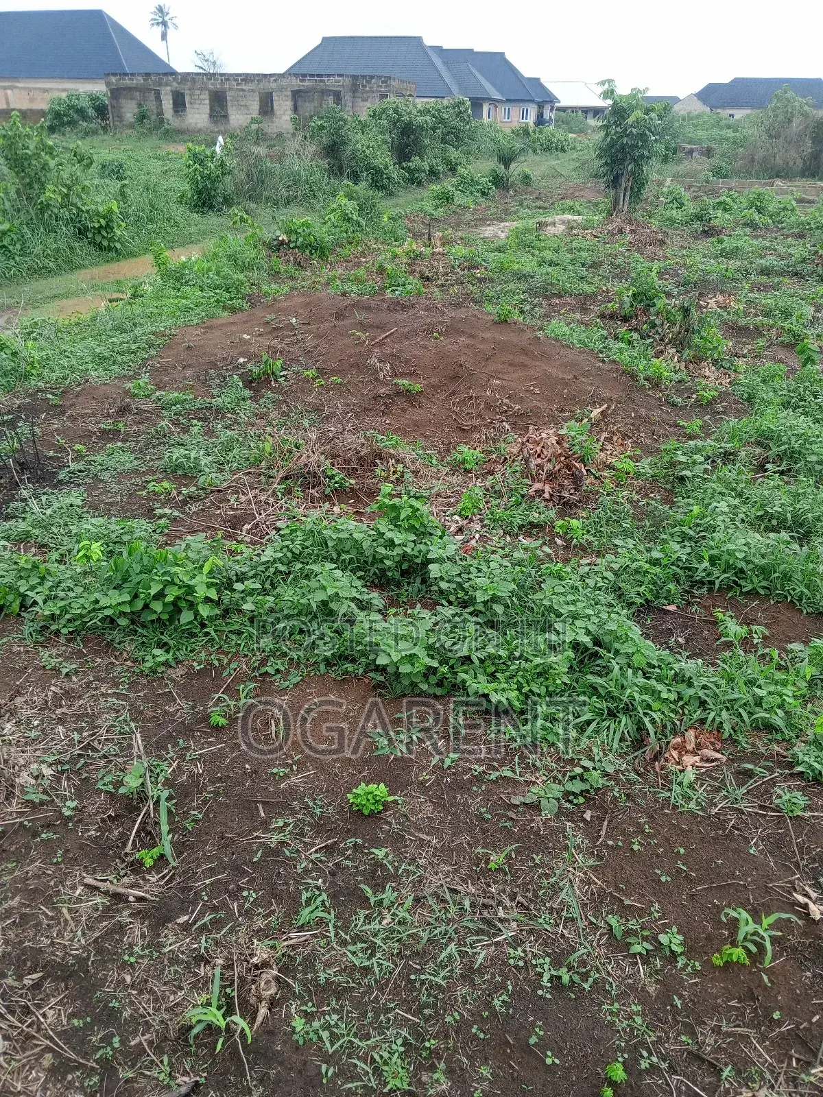 50 by 100 for Sale at Peanut Road/Ewomama