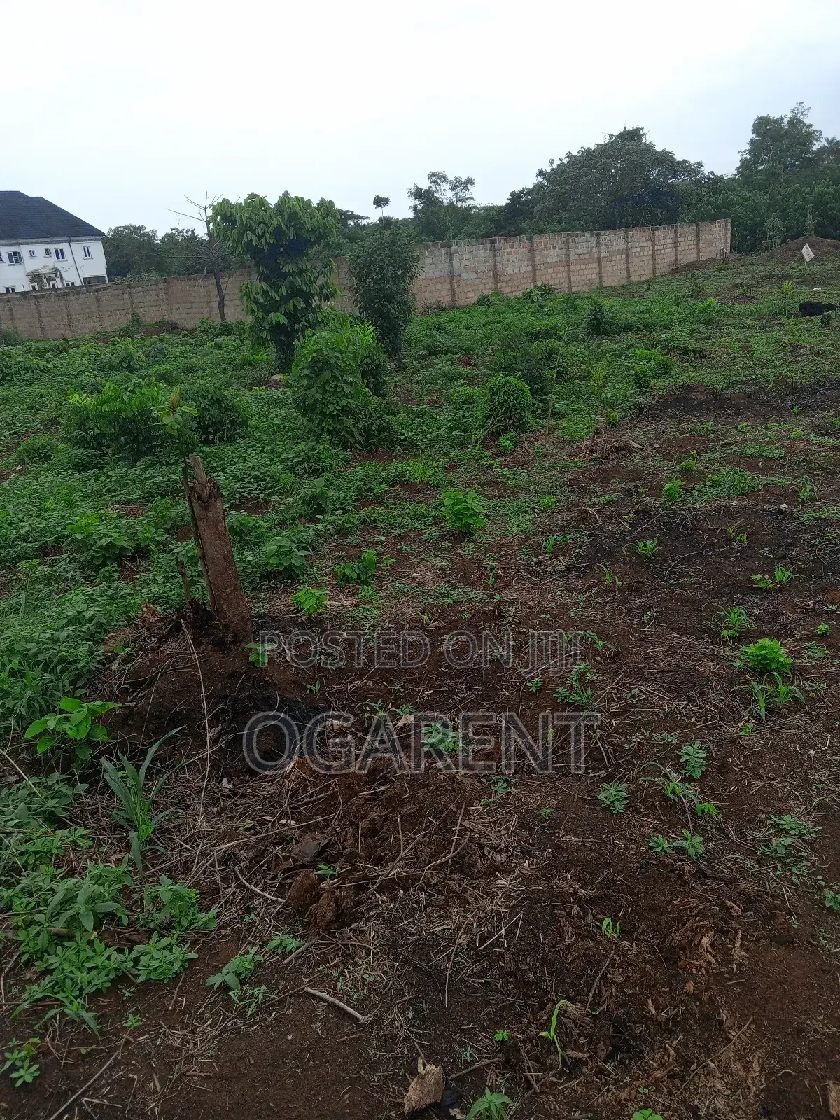 50 by 100 for Sale at Peanut Road/Ewomama