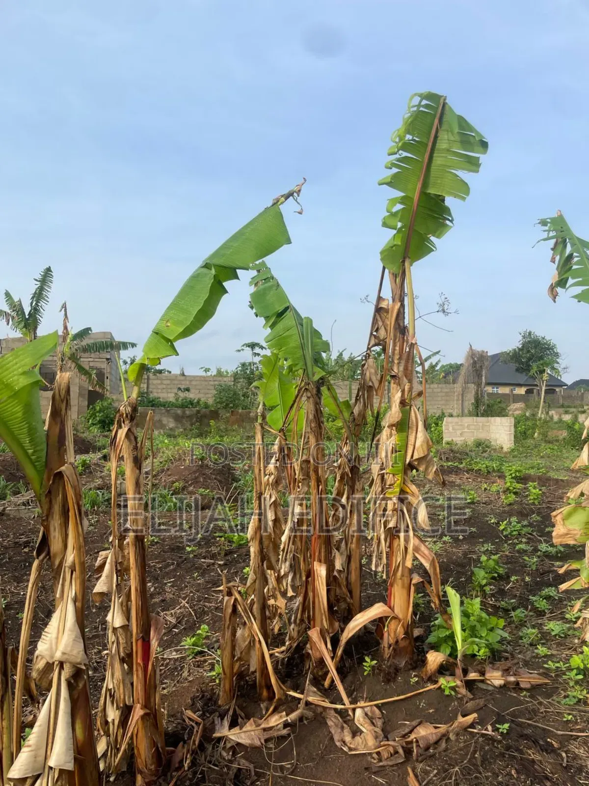 Facing Road Full Plot of Land for Sale at Agbowa, Ikorodu.