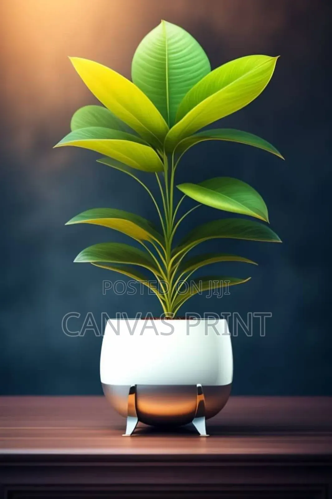 Canvas Print