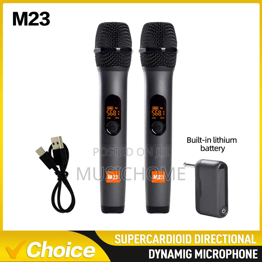 High Quality Rechargeable Dual Wireless Microphone
