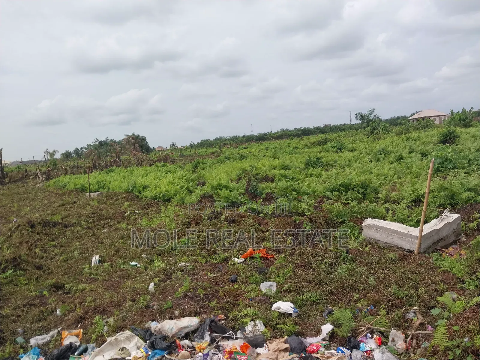 Verified Plots Ijegun 10% Instalment Close to New Expressway