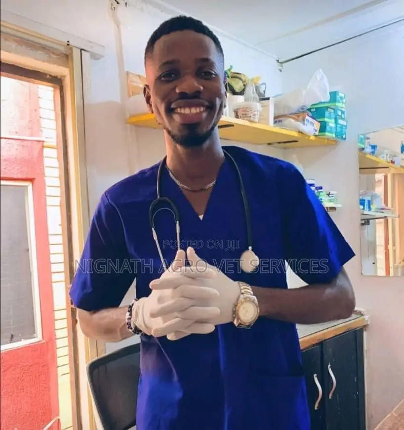 Veterinary Doctor