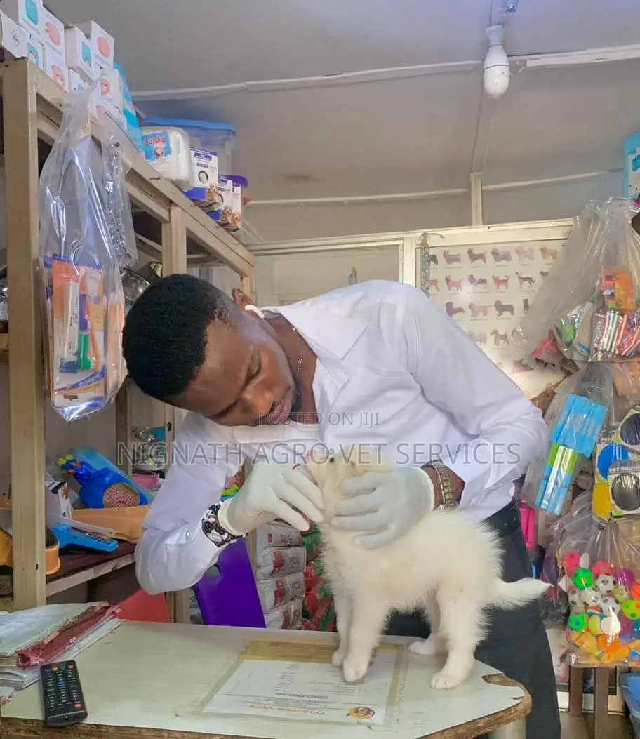 Veterinary Doctor