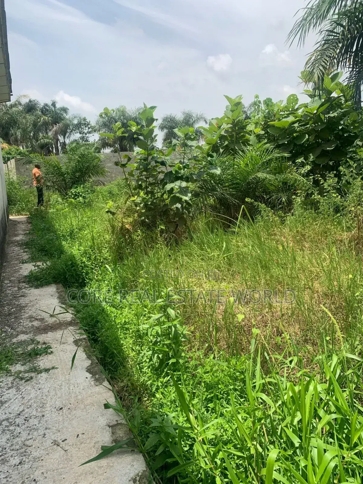 Land for Sale in Ogua Community Benin City