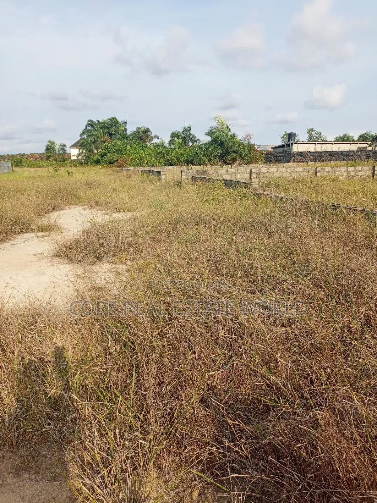 Land for Sale in Ogua Community Benin City